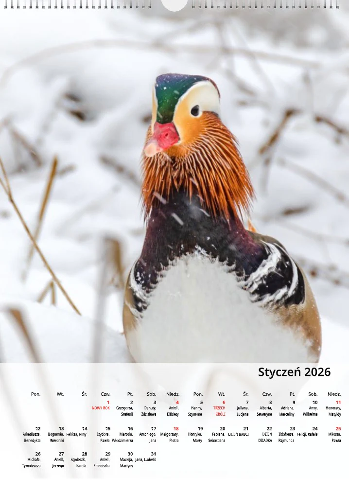 Kalendarz Mogilno w obiektywie 2026 układ pionowy - Image 3